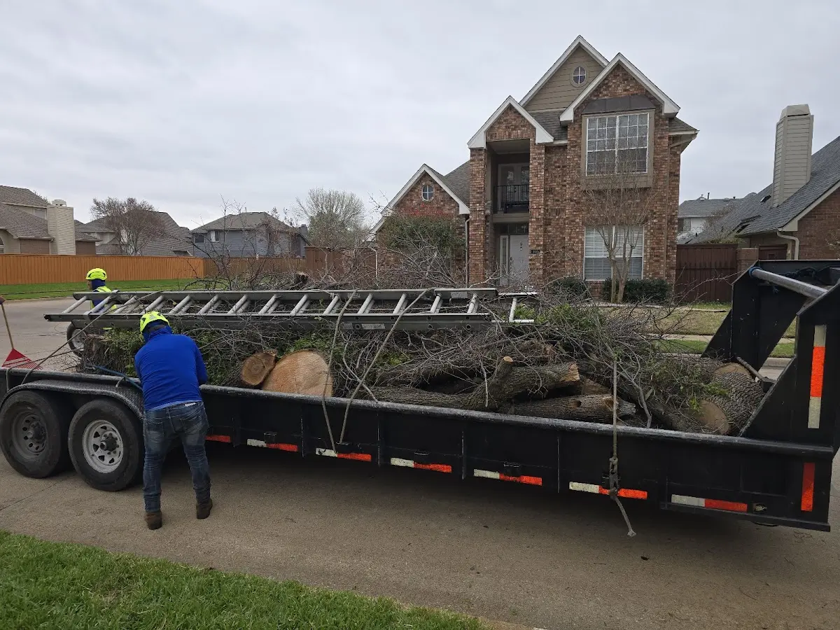 Expert Tree Removal with proper safety equipment in Hamtramck